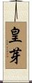 皇芽 Scroll
