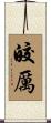 皎厲 Scroll
