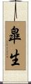 皐生 Scroll