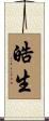 皓生 Scroll