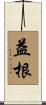 益根 Scroll