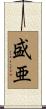 盛亜 Scroll
