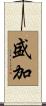 盛加 Scroll