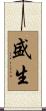 盛生 Scroll