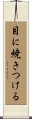目に焼きつける Scroll