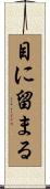 目に留まる Scroll