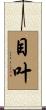 目叶 Scroll