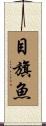 目旗魚 Scroll
