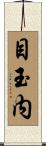 目玉内 Scroll