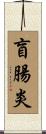 盲腸炎 Scroll