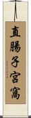 直腸子宮窩 Scroll