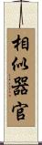相似器官 Scroll