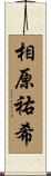 相原祐希 Scroll