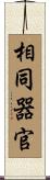 相同器官 Scroll