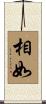 相如 Scroll