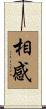 相感 Scroll