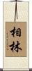 相林 Scroll