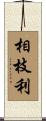 相枝利 Scroll