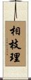 相枝理 Scroll