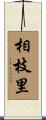相枝里 Scroll