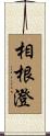 相根澄 Scroll