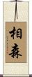 相森 Scroll