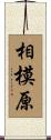 相模原 Scroll
