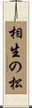 相生の松 Scroll