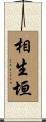 相生垣 Scroll
