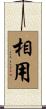 相用 Scroll