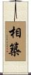 相築 Scroll