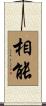 相能 Scroll
