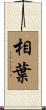 相葉 Scroll