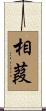 相葭 Scroll