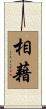 相藉 Scroll