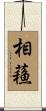 相蘓 Scroll