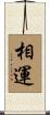 相運 Scroll