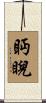 眄睨 Scroll