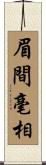 眉間毫相 Scroll