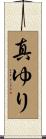 真ゆり Scroll