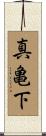 真亀下 Scroll