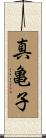 真亀子 Scroll
