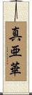 真亜華 Scroll