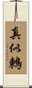 真似鶫 Scroll