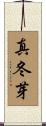 真冬芽 Scroll