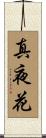 真夜花 Scroll