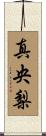 真央梨 Scroll