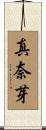 真奈芽 Scroll