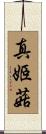 真姬菇 Scroll