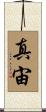 真宙 Scroll